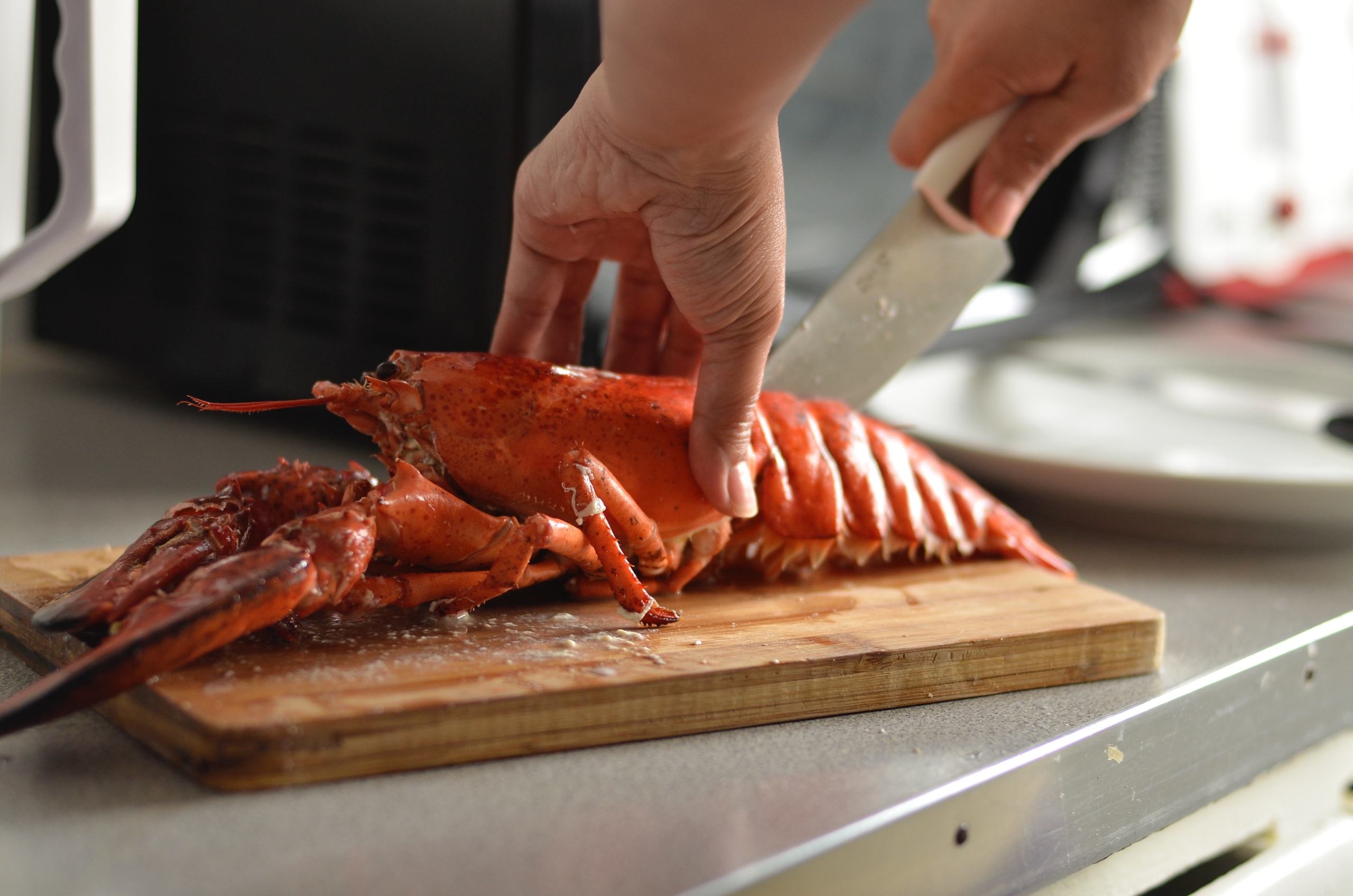 Lobsters And Sea Crabs In Shafi I School Seekersguidance