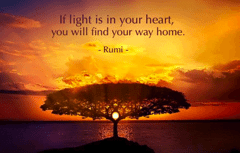 Light in your heart
