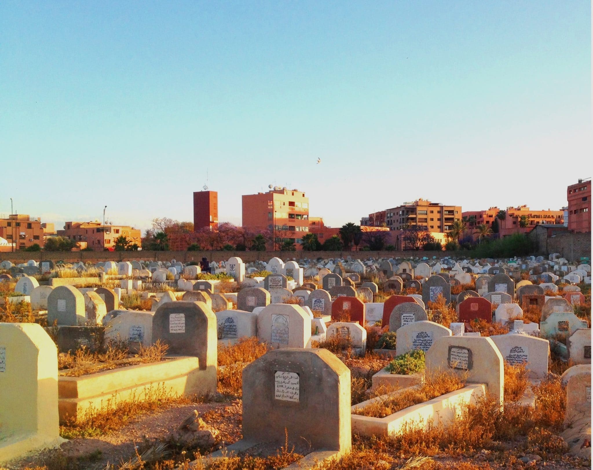 is-it-sunna-to-visit-graveyards-on-eid-days-seekersguidance