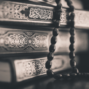Qur’an and the Arabic language – Shaykh Ali Hani