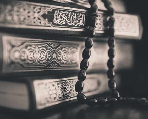 Qur’an and the Arabic language – Shaykh Ali Hani