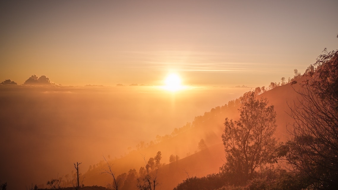 Back to Our Roots as SeekersGuidance – Shaykh Faraz Rabbani